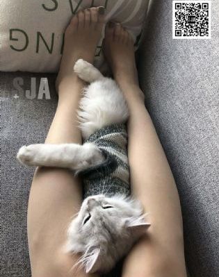 空即是色2_高清蓝光在线观看