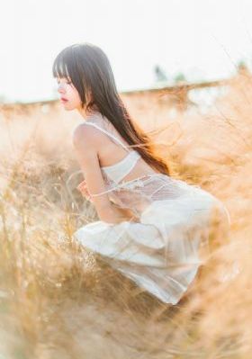 后宫露营 在线_HD免费高清观看
