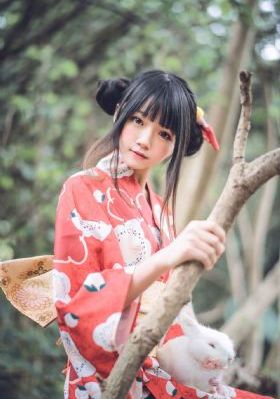 夺面双雄_超清免费在线播放