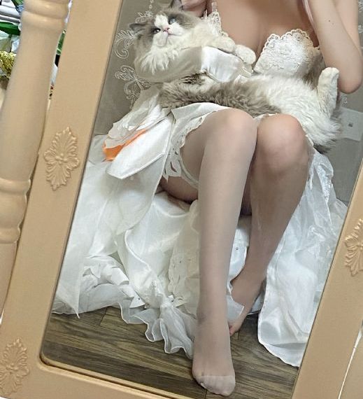 路基完_超清超清在线观看