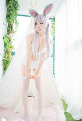 野花日本完整版免费视频3_DVD免费观看超清