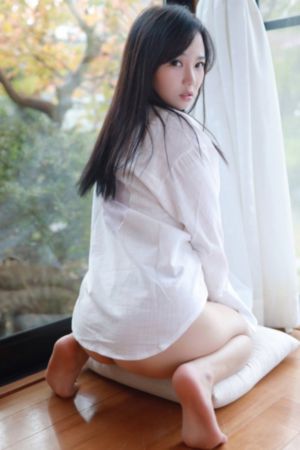 电视剧燕王朱棣传奇_BD国语全集免费播放