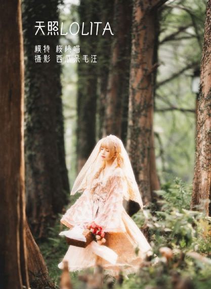 电视剧免费观看全集网站_DVD神马在线观看