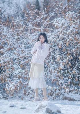 掌心电视剧剧情介绍_高清无删减在线观看