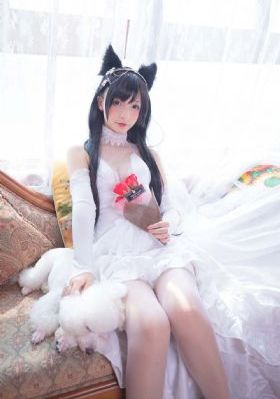 影视猫pro_1080P超清在线观看